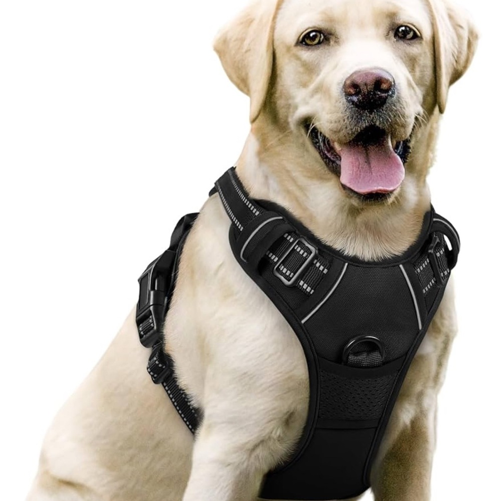 rabbitgoo Dog Harness No Pull with 2 Leash Clips, Black, size Large